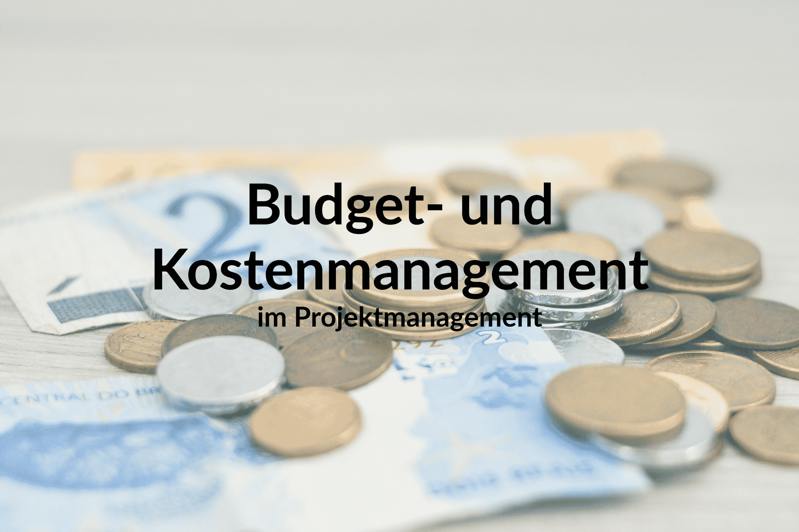 Budget- und Kostenmanagement